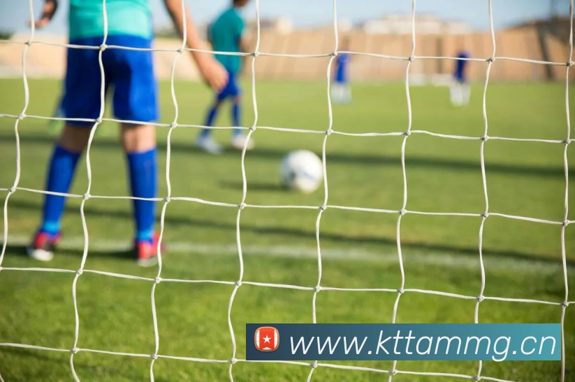 开云手机网页入口服务体系